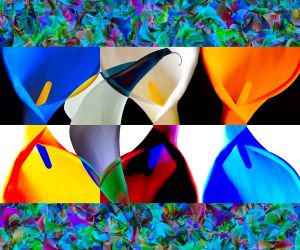 wkl 15 Wilhelm Kleinoder   Calla Triiptych mit RGB Kopie